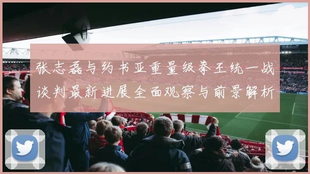 张志磊与约书亚重量级拳王统一战谈判最新进展全面观察与前景解析