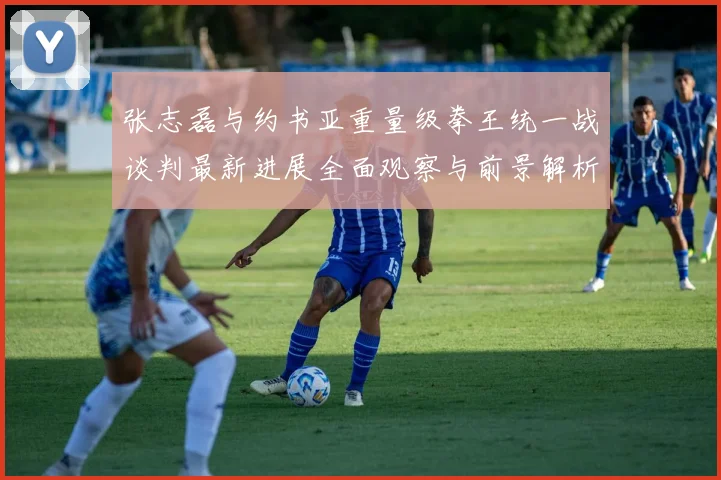 张志磊与约书亚重量级拳王统一战谈判最新进展全面观察与前景解析